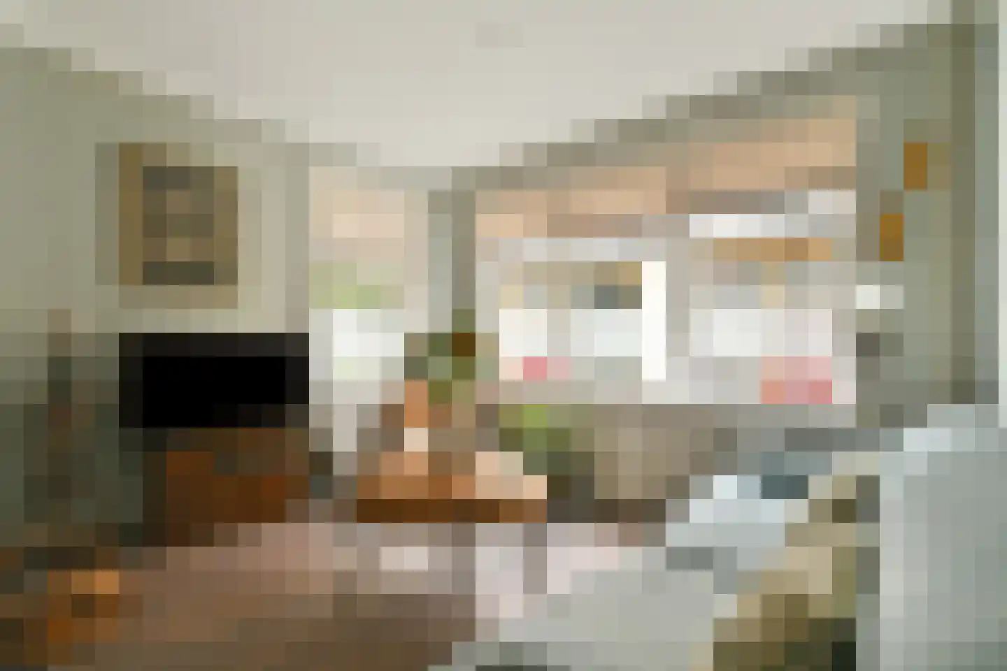 Fnidsen 34 Alkmaar thumbnail 11