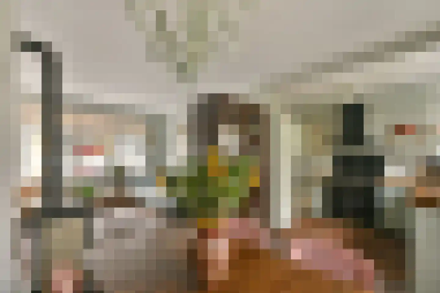 Fnidsen 34 Alkmaar thumbnail 13