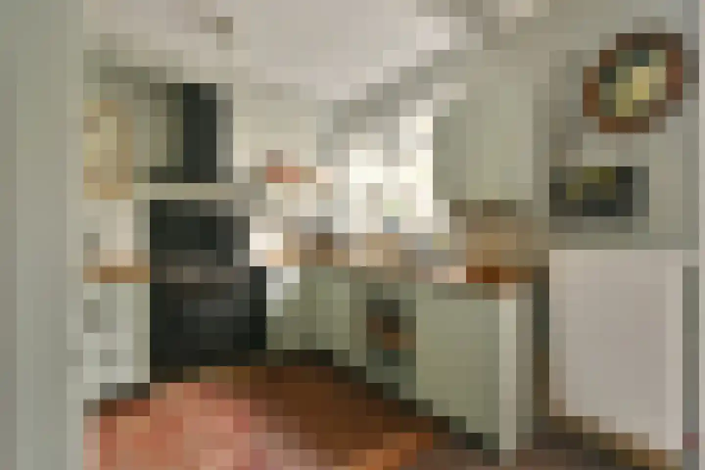 Fnidsen 34 Alkmaar thumbnail 14