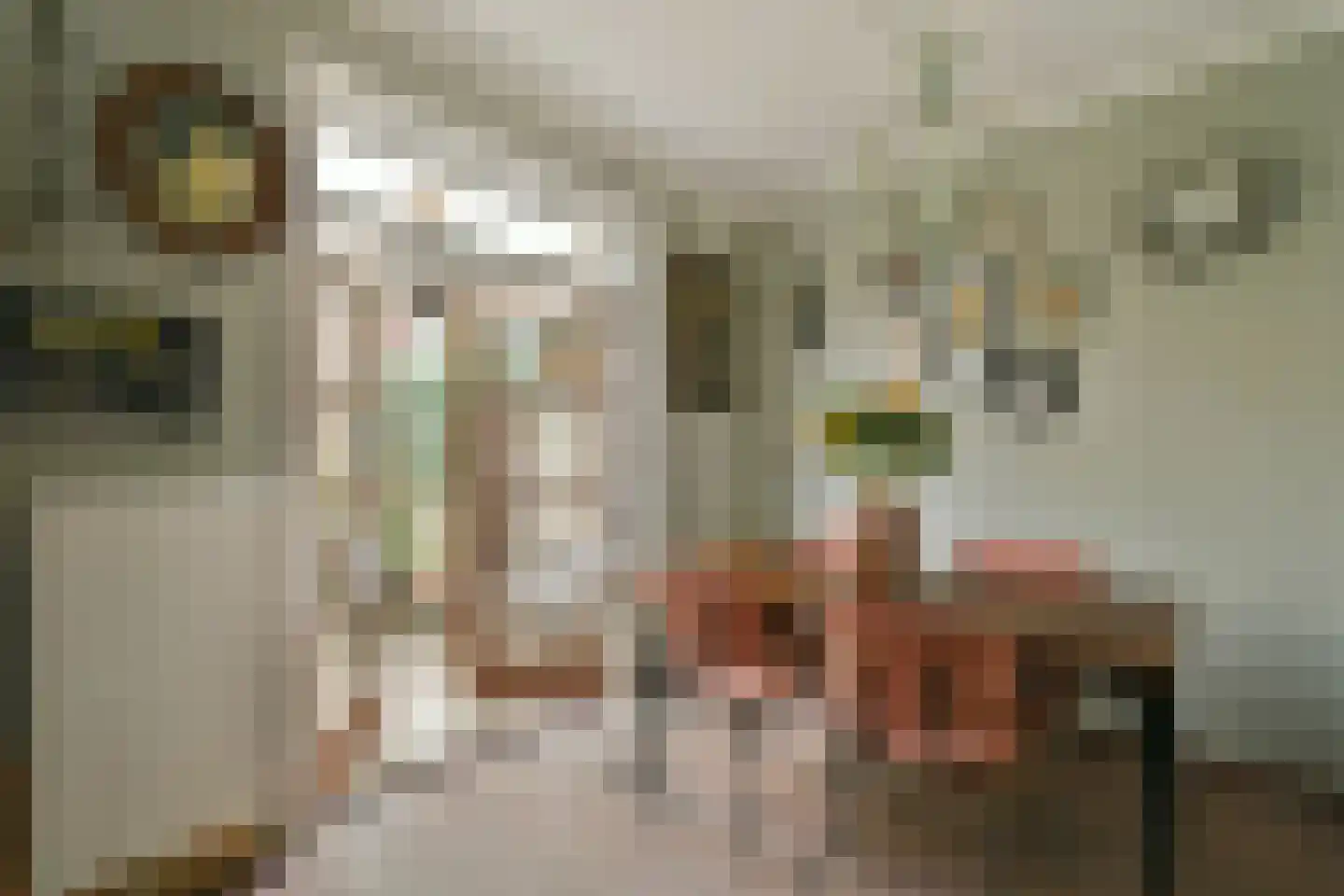 Fnidsen 34 Alkmaar thumbnail 16