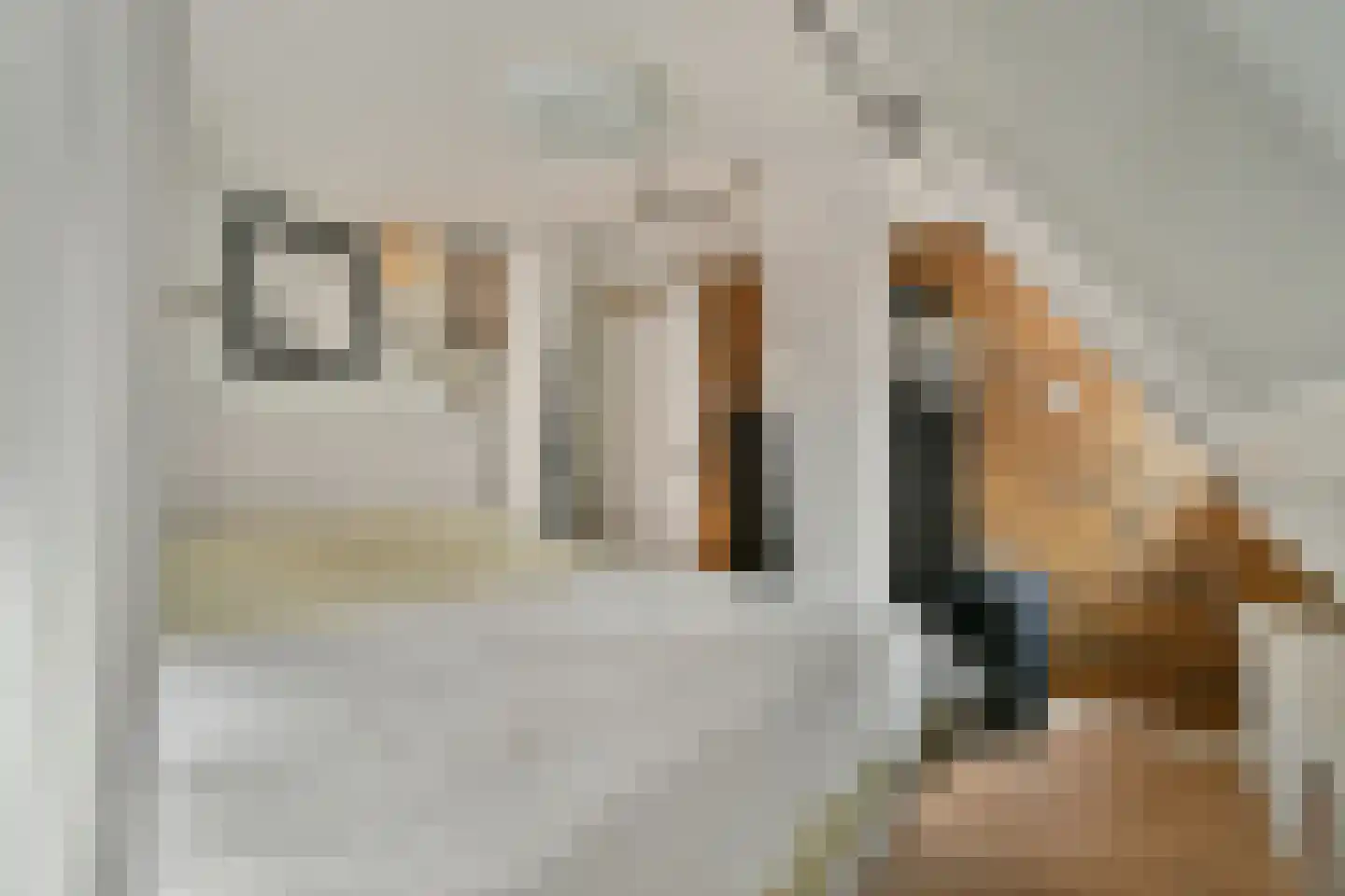 Fnidsen 34 Alkmaar thumbnail 26