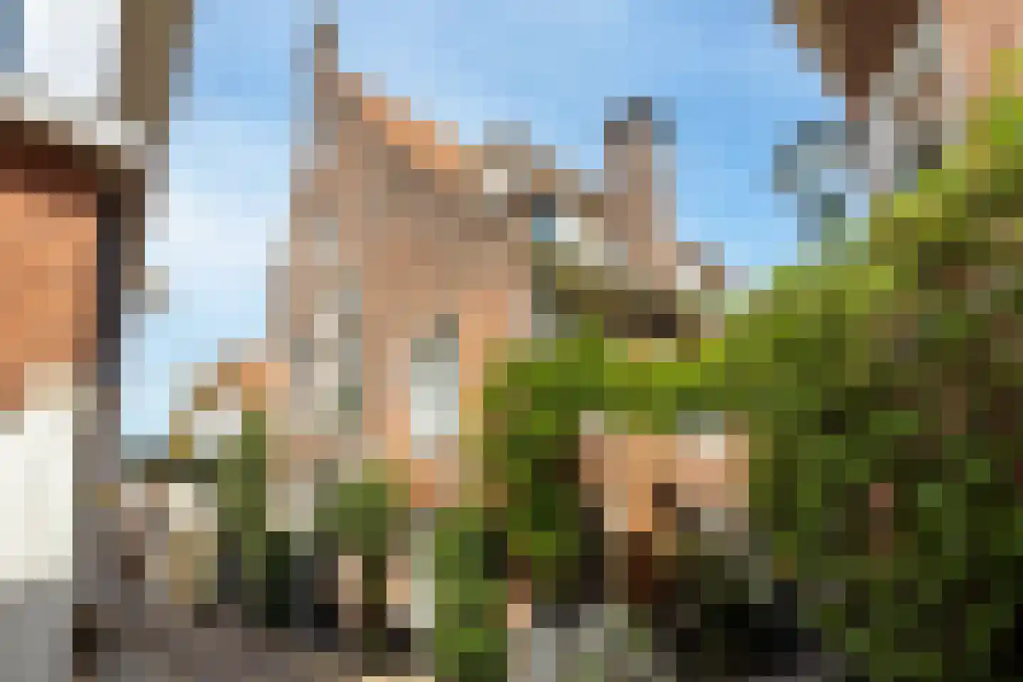 Fnidsen 52 A Alkmaar thumbnail 8