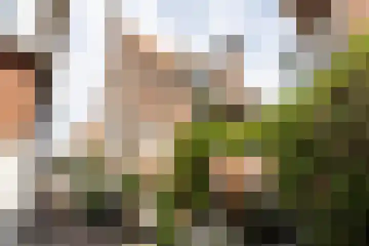 Fnidsen 52 C Alkmaar thumbnail 27