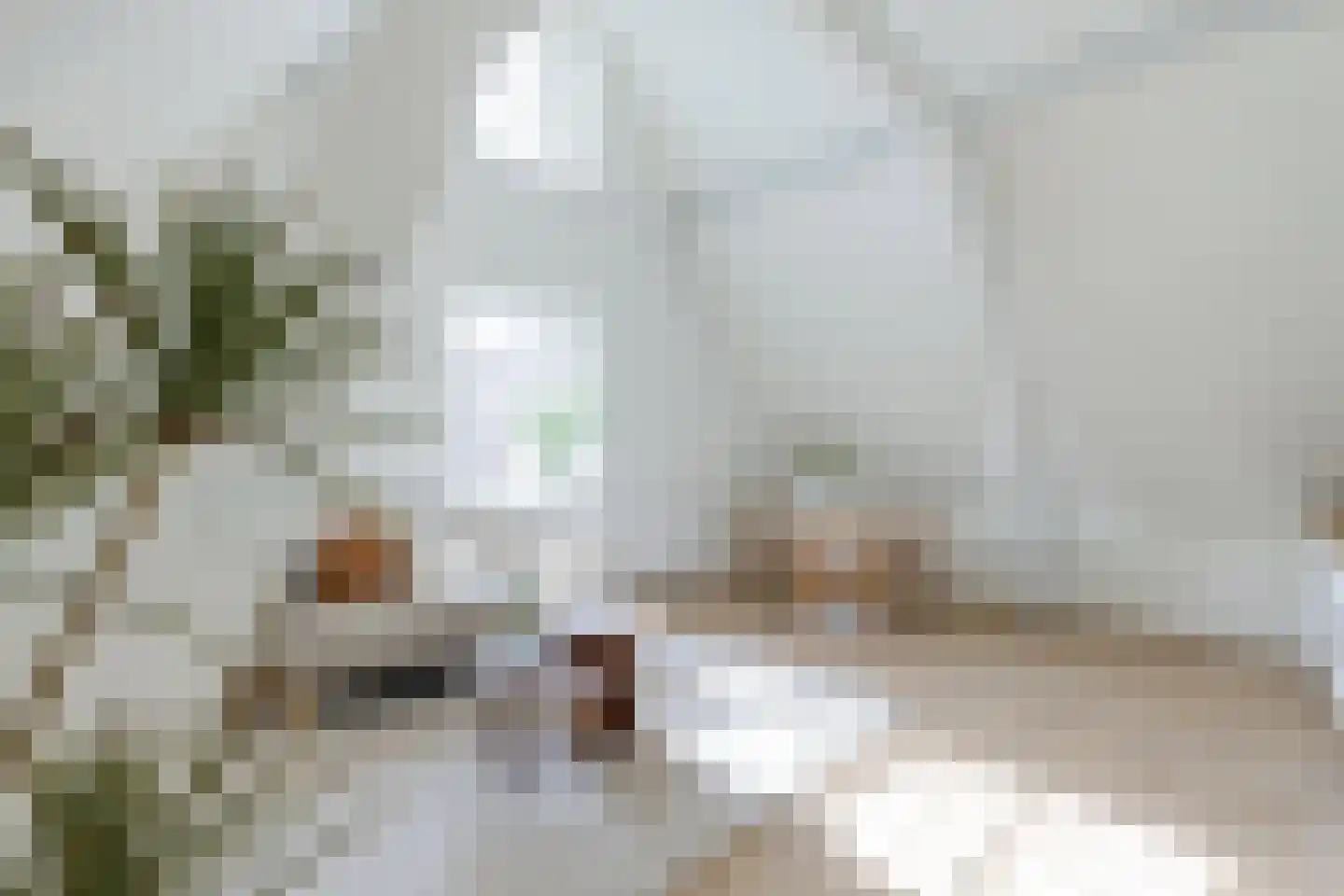 Fnidsen 52 E Alkmaar thumbnail 6