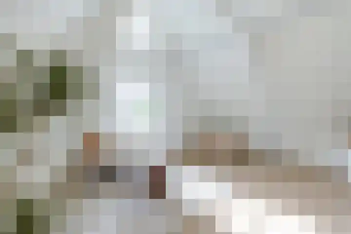 Fnidsen 52 E Alkmaar thumbnail 6