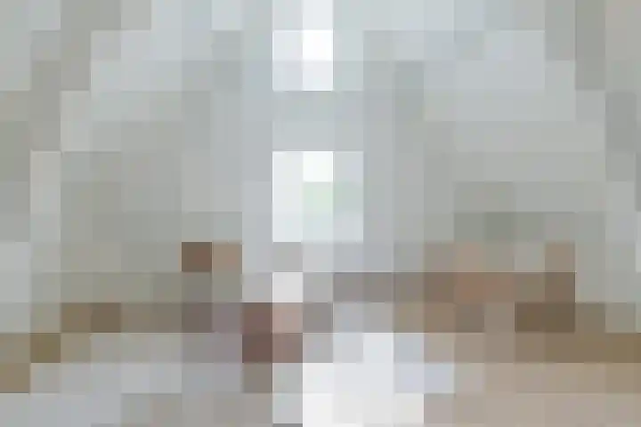 Fnidsen 52 E Alkmaar thumbnail 7