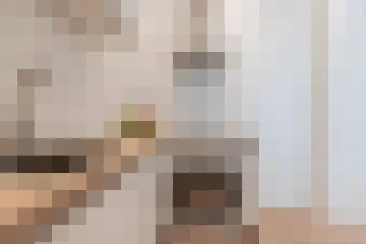 Fnidsen 77 Alkmaar thumbnail 12