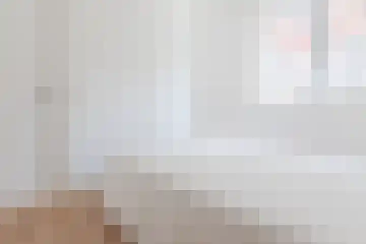 Fnidsen 77 Alkmaar thumbnail 16