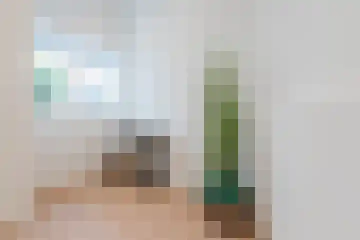 Fnidsen 77 Alkmaar thumbnail 18