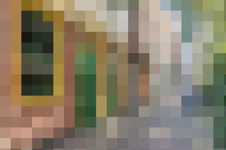Fnidsen 77 Alkmaar thumbnail 23