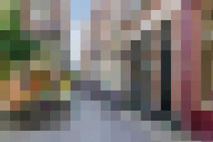 Fnidsen 77 Alkmaar thumbnail 24