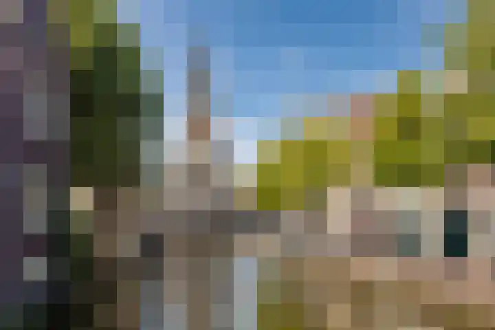 Fnidsen 77 Alkmaar thumbnail 25