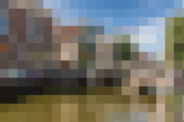 Fnidsen 77 Alkmaar thumbnail 26