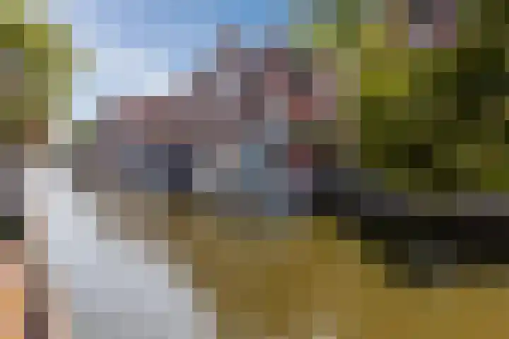 Fnidsen 77 Alkmaar thumbnail 27