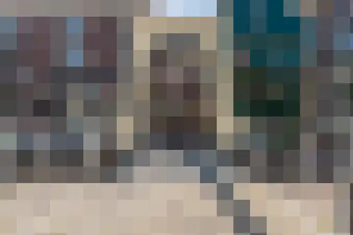 Fnidsen 77 Alkmaar thumbnail 28