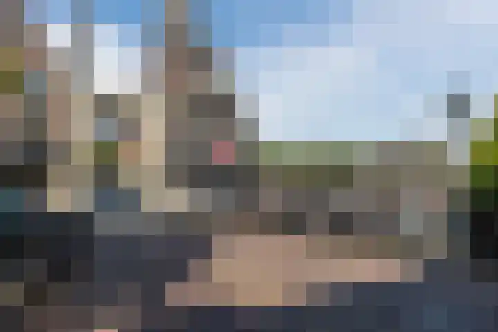 Fnidsen 77 Alkmaar thumbnail 29