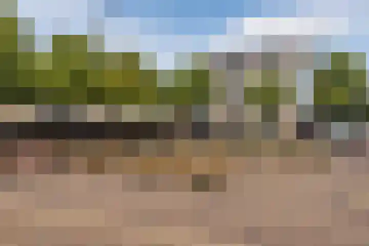 Fnidsen 77 Alkmaar thumbnail 31