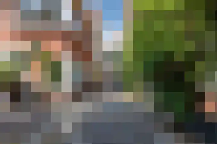 Fnidsen 77 Alkmaar thumbnail 32