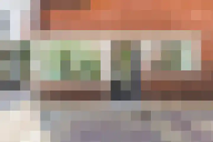 Fnidsen 77 Alkmaar thumbnail 33
