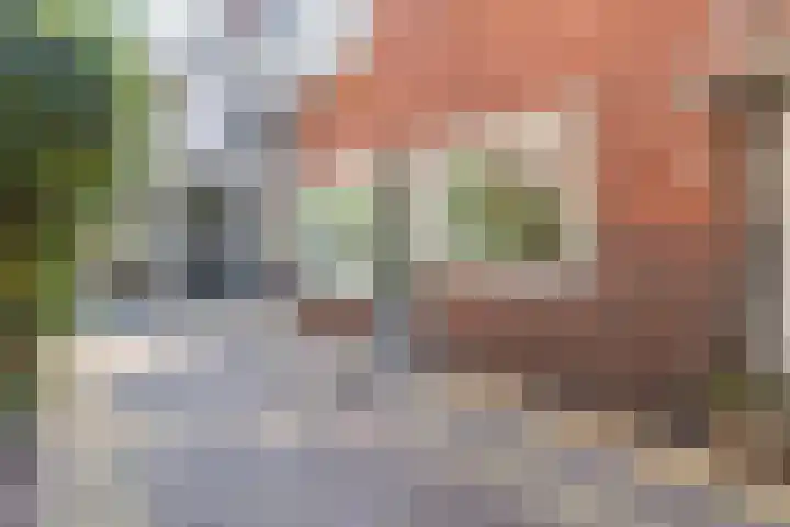 Fnidsen 77 Alkmaar thumbnail 34