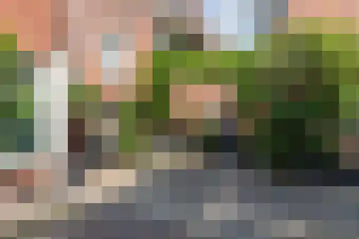 Fnidsen 77 Alkmaar thumbnail 35