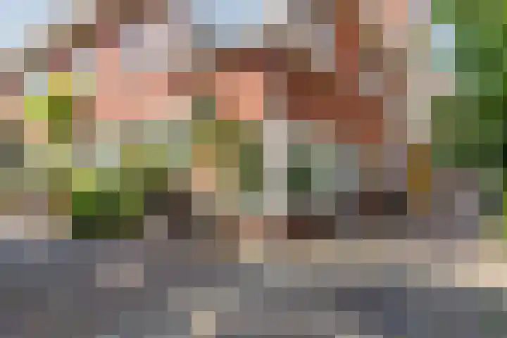 Fnidsen 77 Alkmaar thumbnail 37