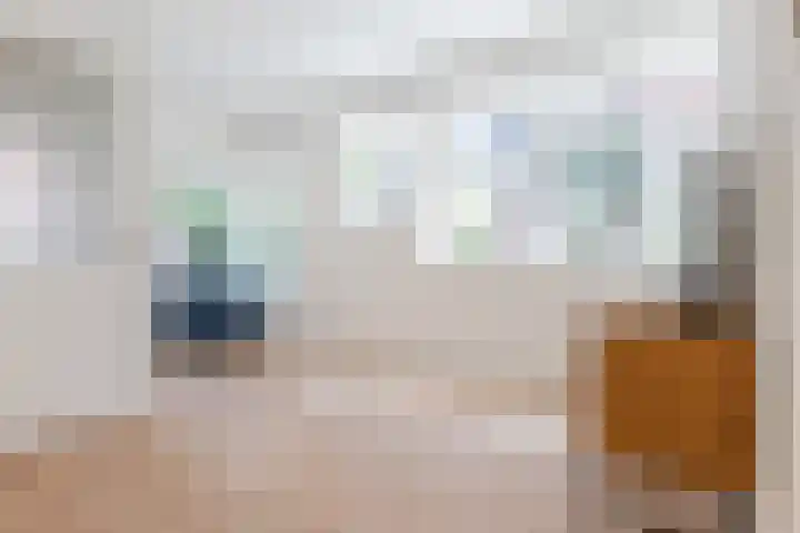 Fnidsen 77 Alkmaar thumbnail 5