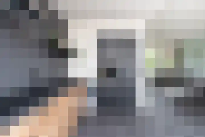 Foareker 10 Ureterp thumbnail 15