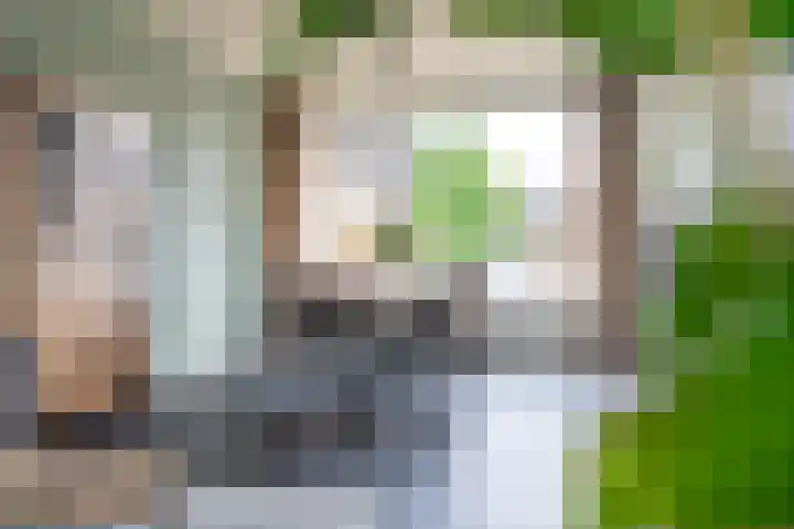 Foareker 10 Ureterp thumbnail 17