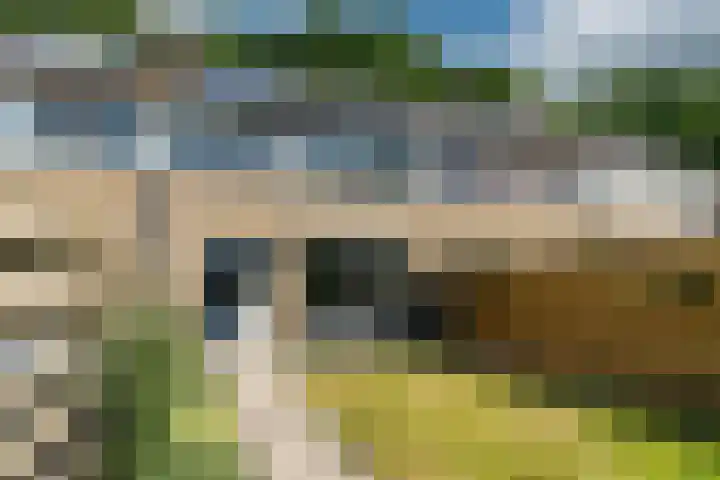 Foareker 10 Ureterp thumbnail 32