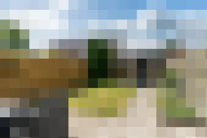 Foareker 10 Ureterp thumbnail 33
