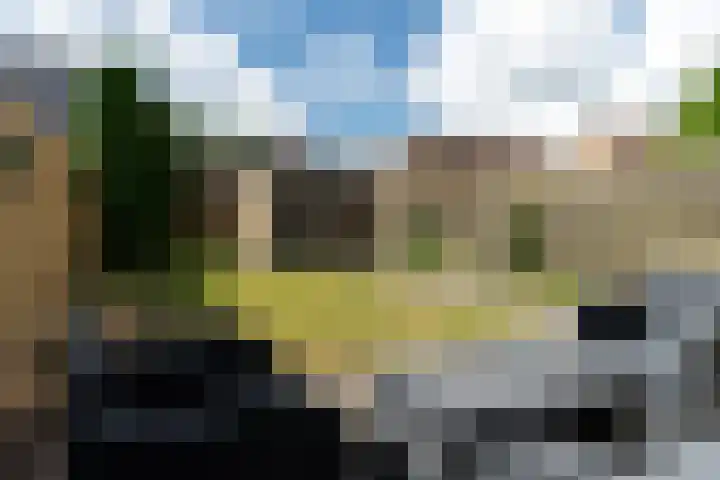 Foareker 10 Ureterp thumbnail 34