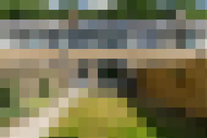 Foareker 10 Ureterp thumbnail 35