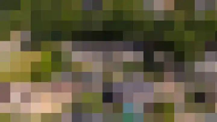 Foareker 10 Ureterp thumbnail 36