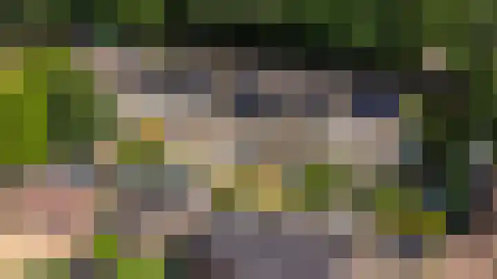 Foareker 10 Ureterp thumbnail 37