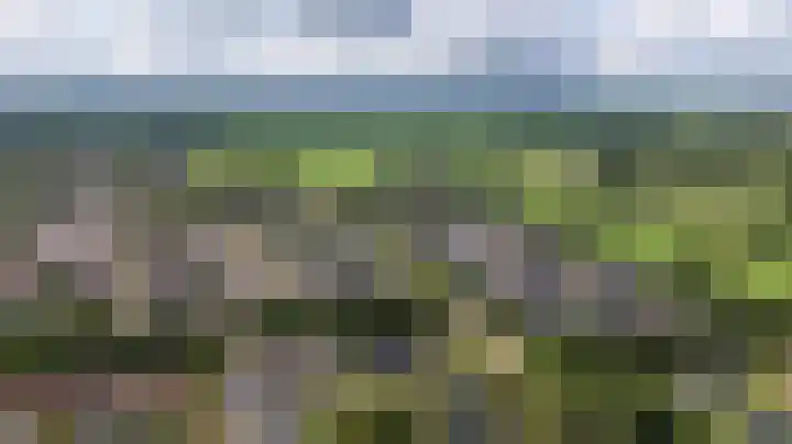 Foareker 10 Ureterp thumbnail 38