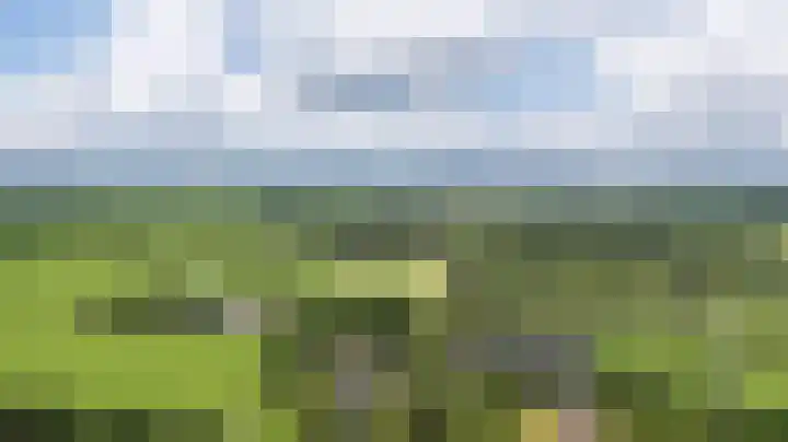 Foareker 10 Ureterp thumbnail 39