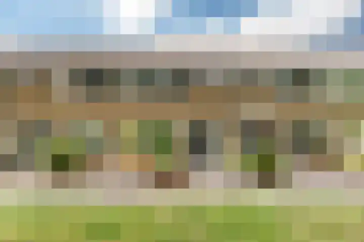 Foareker 10 Ureterp thumbnail 4