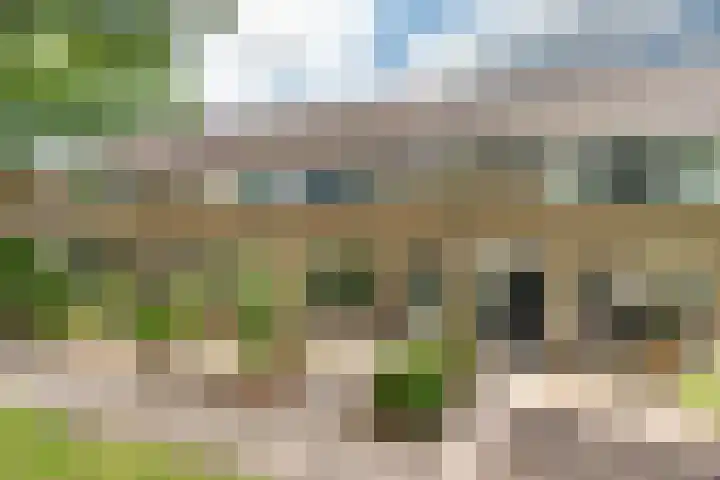 Foareker 10 Ureterp thumbnail 5