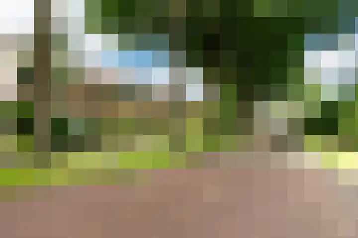 Foareker 10 Ureterp thumbnail 6