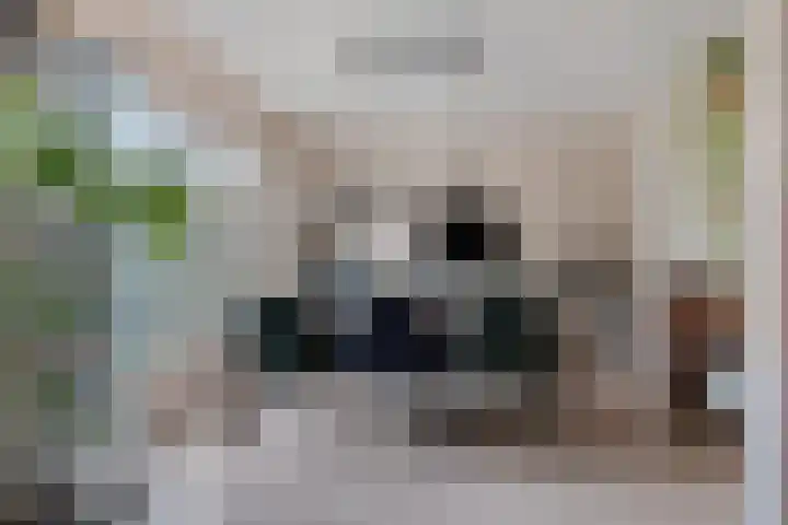 Foareker 14 Menaam thumbnail 12