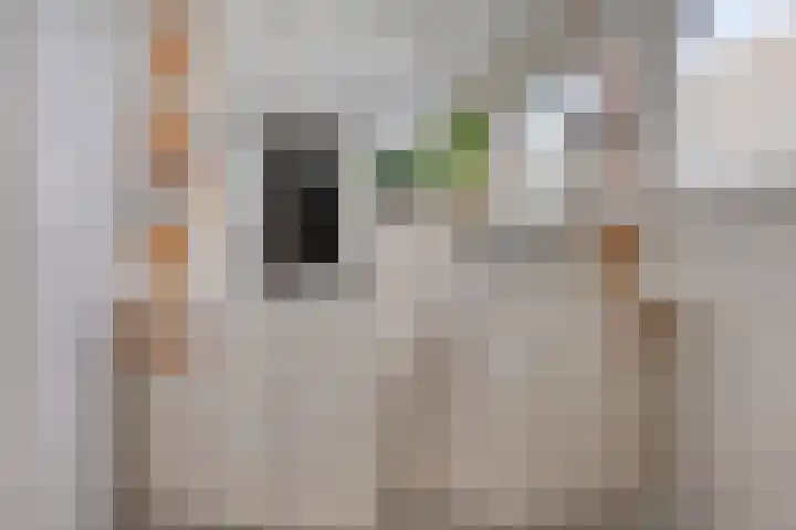 Foareker 14 Menaam thumbnail 20