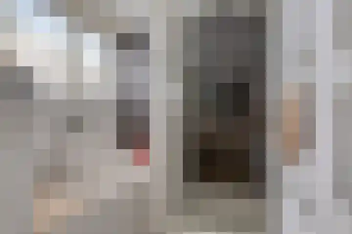 Foareker 14 Menaam thumbnail 21