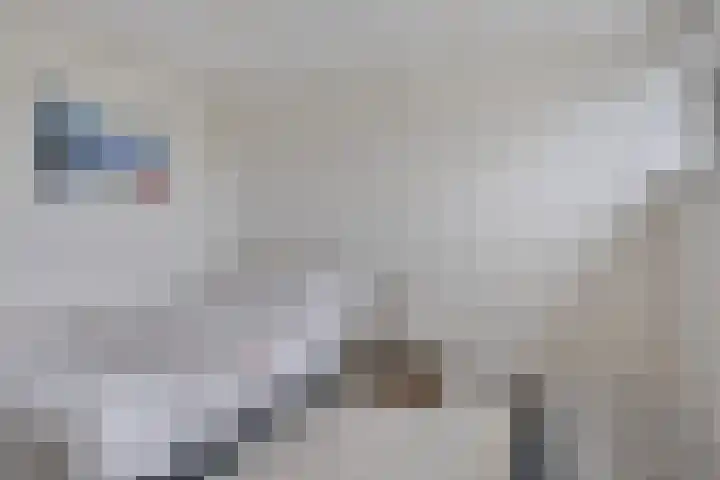 Foareker 14 Menaam thumbnail 25
