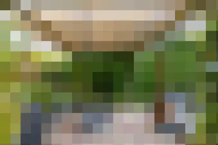 Foareker 14 Menaam thumbnail 32