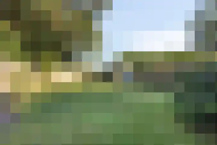 Foareker 14 Menaam thumbnail 33