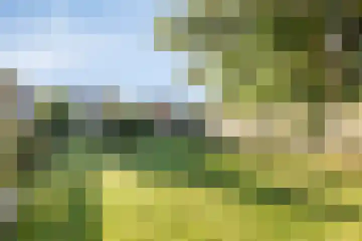 Foareker 14 Menaam thumbnail 34
