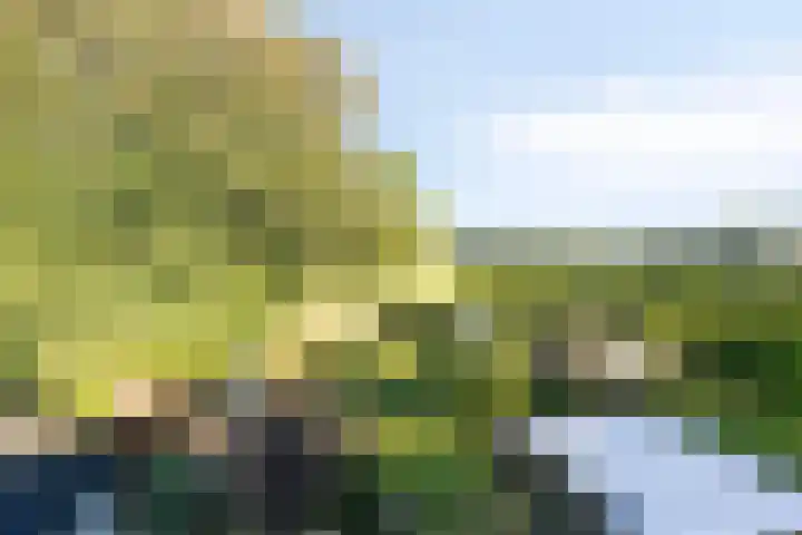 Foareker 14 Menaam thumbnail 36