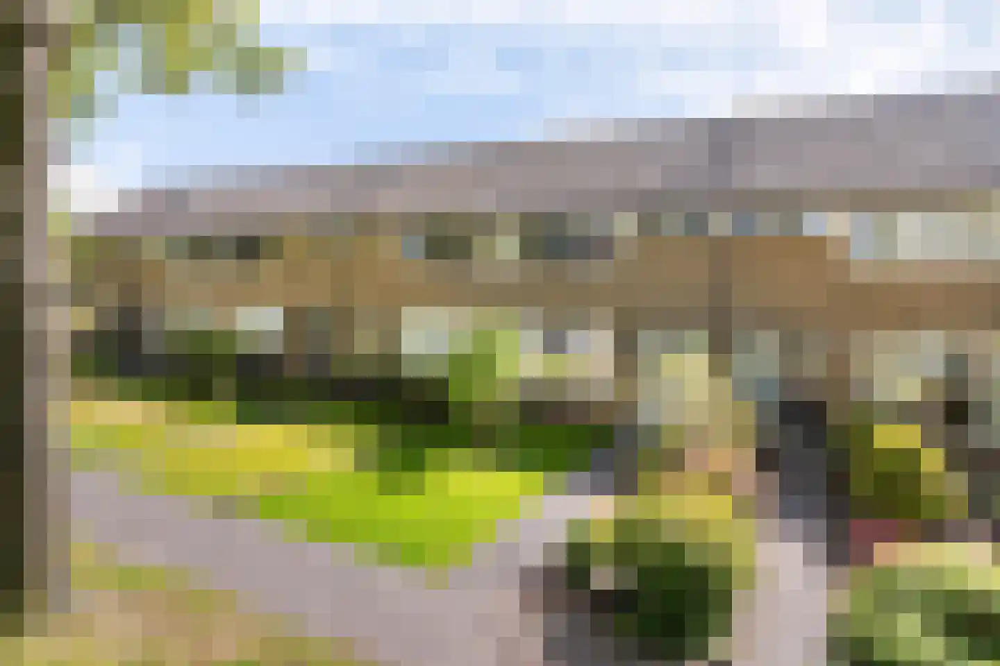 Foareker 34 Ureterp thumbnail 4