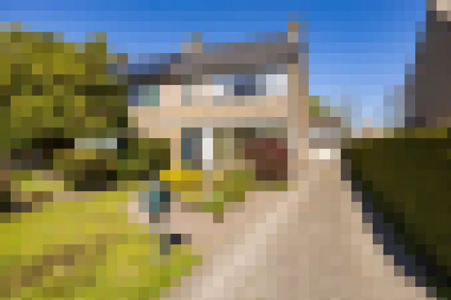 Foareker 43 Ureterp thumbnail 11